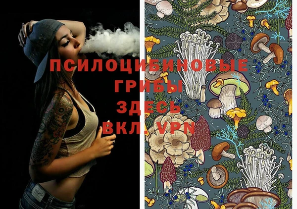 MDMA Premium VHQ Армянск